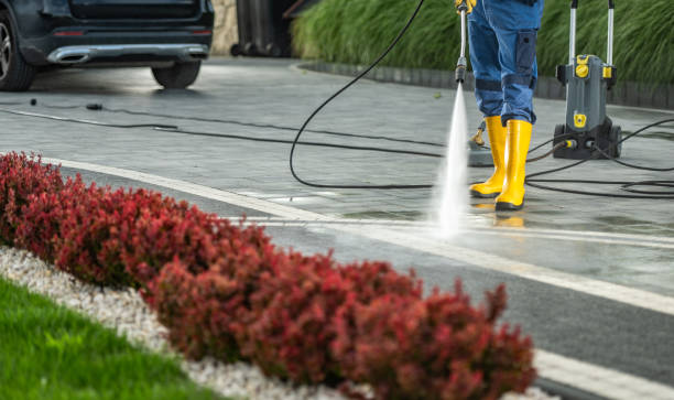 Best Roof Pressure Washing  in Surfside, FL